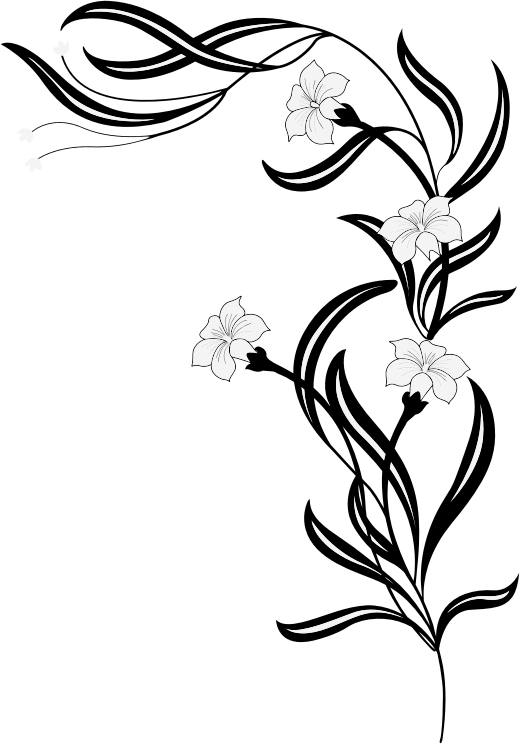 Black And White Flowers