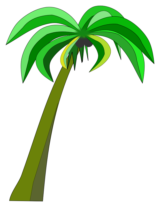 Palm or Coconut Tree