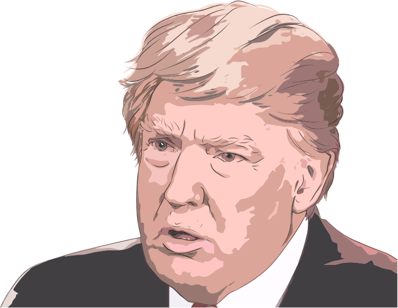 Donald Trump Portrait 3