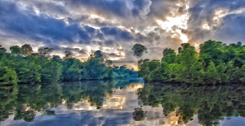 Surreal Indonesian Mangrove