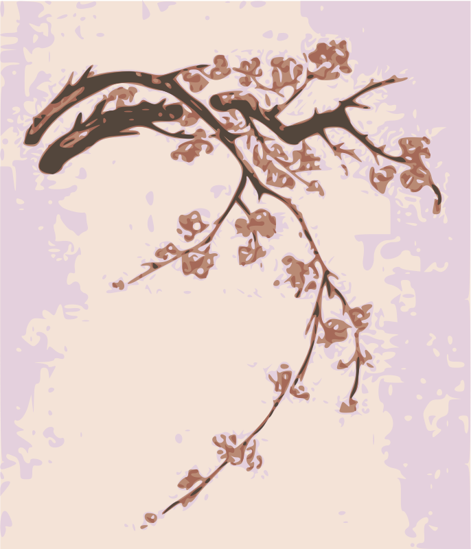 Plum Blossoms