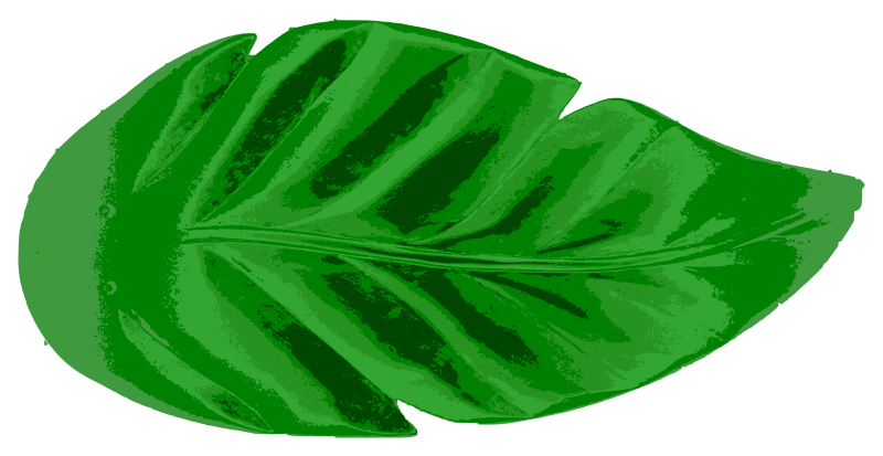 Tropical Leaf