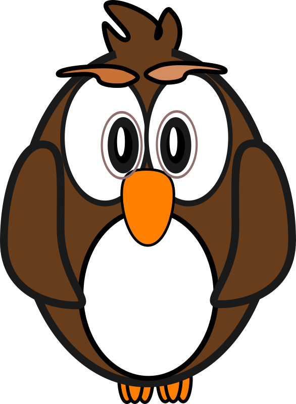 owl