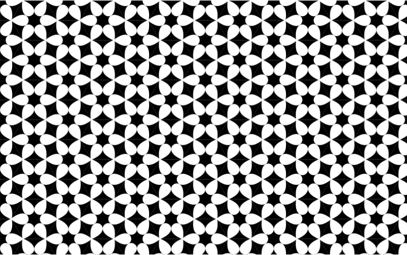 Seamless Monochrome Floral Pattern 2