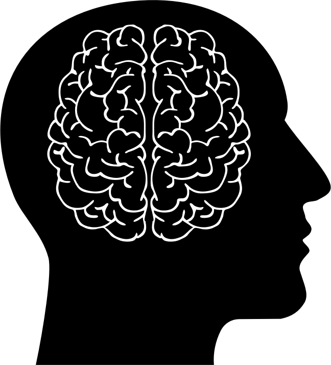 Brain In Man Head