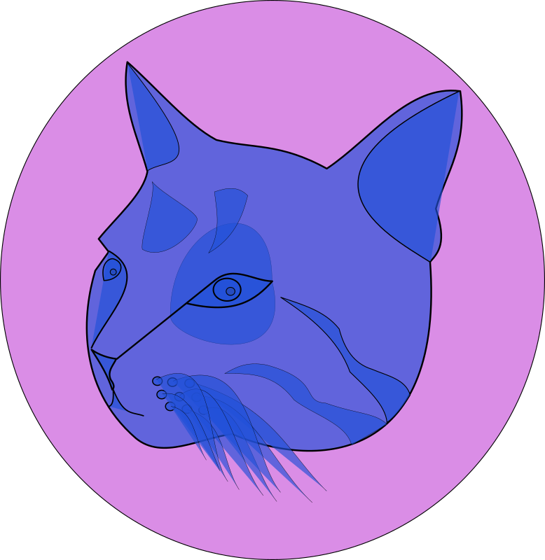 blue cat