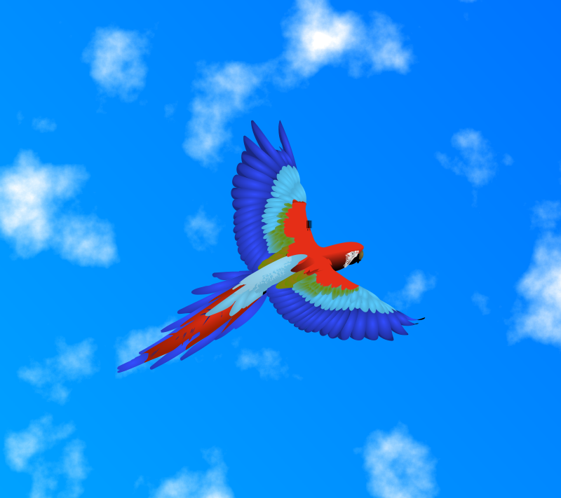 Macaw 2