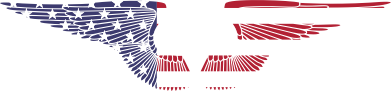 American Hand Drawn Wings