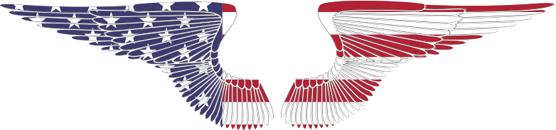 American Hand Drawn Wings With Stroke