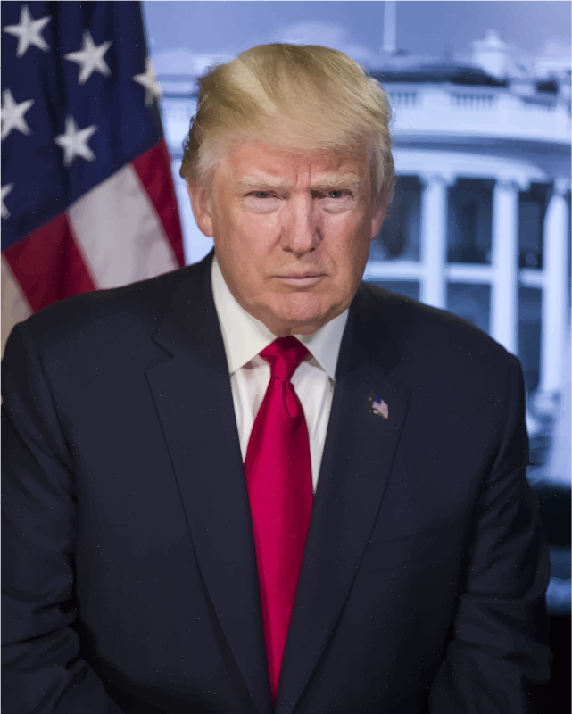 Donald Trump Official White House Photograph