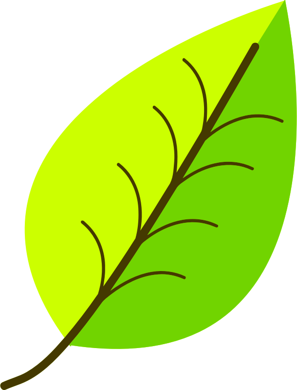 Two colour leaf vectorized