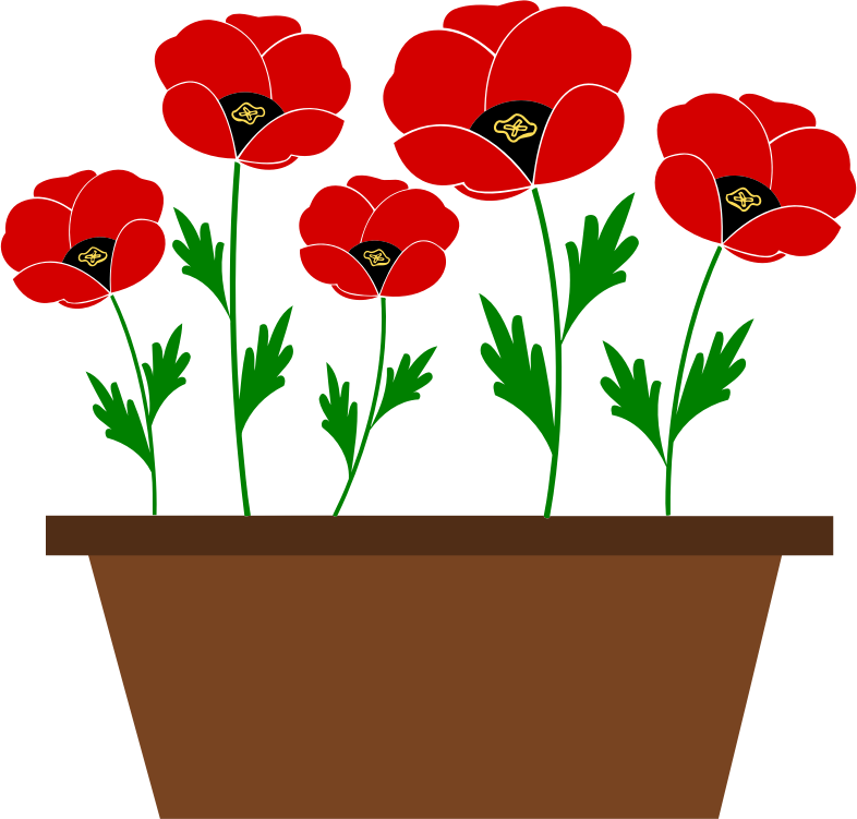 Potted poppies vectorized