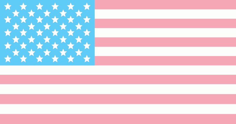 Trans American Flag