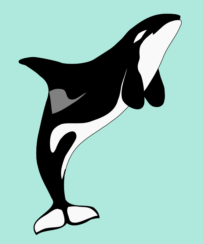 Basic Orca