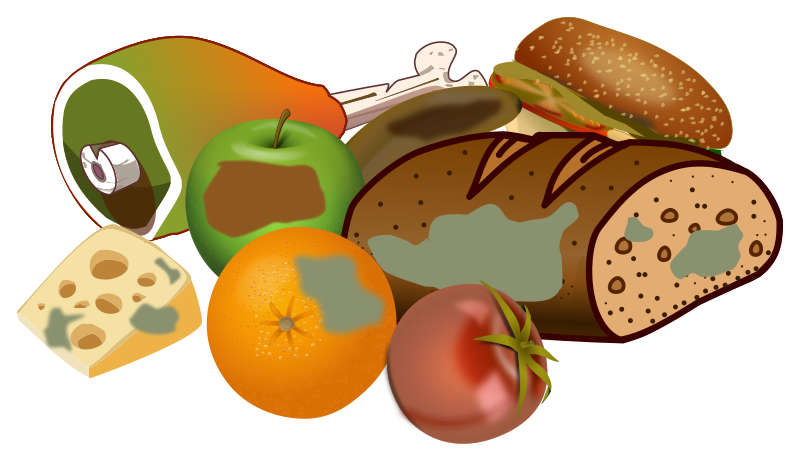 wasting-food-openclipart