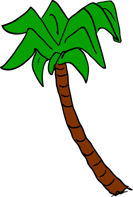 Palm tree 6 (colour)