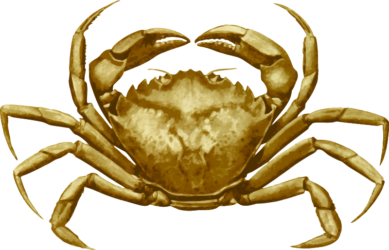 Crab 4