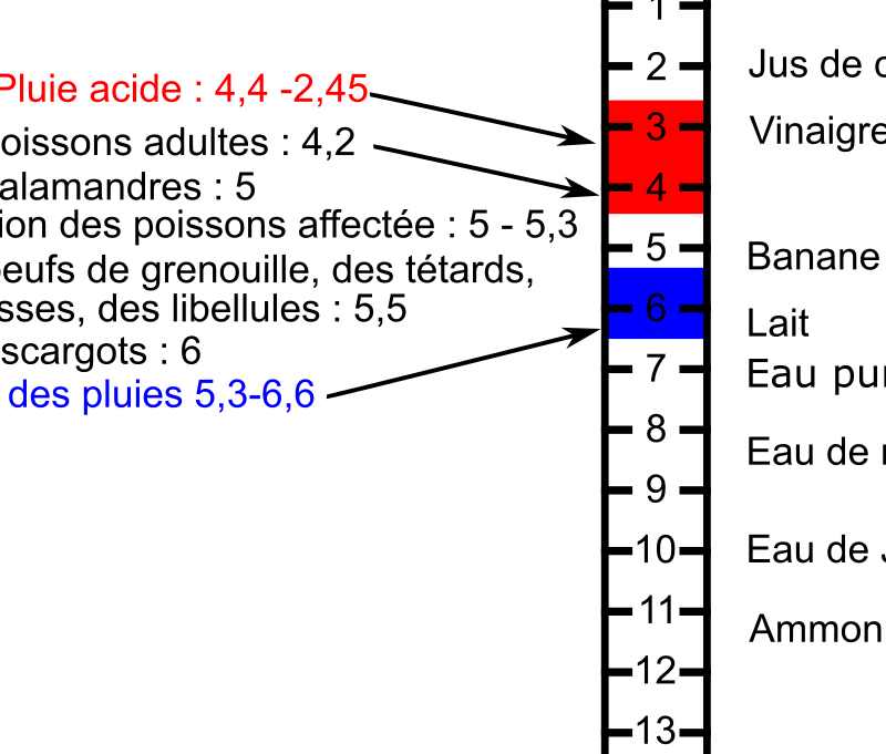 Echelle des pH