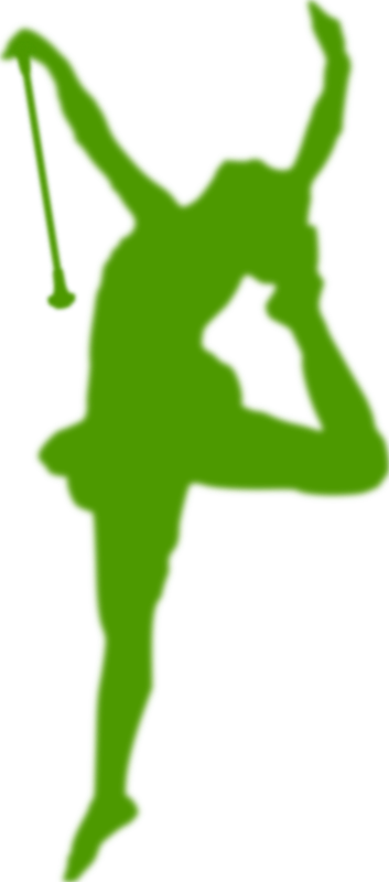 Baton Twirler Silhouette