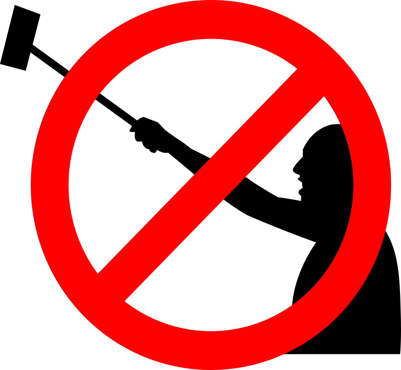 No Selfie Sticks