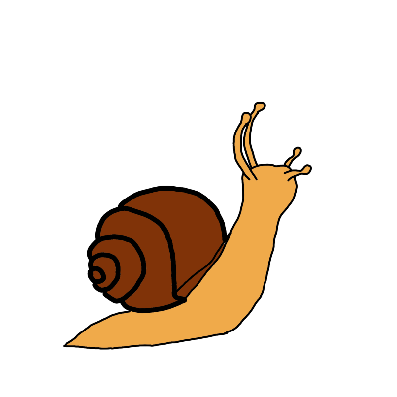 Snail