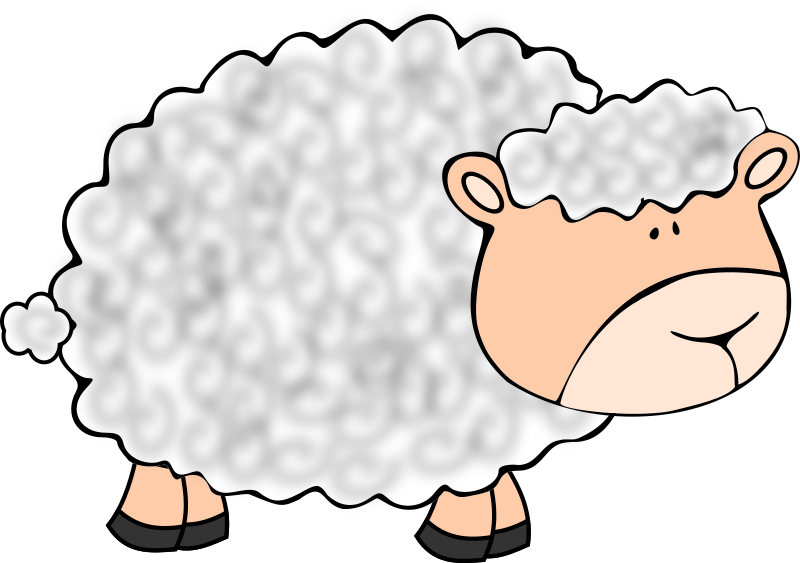 Funny sheep