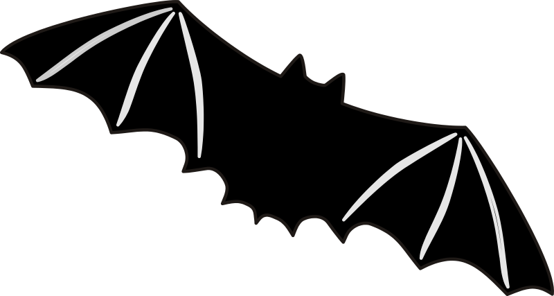 Bat