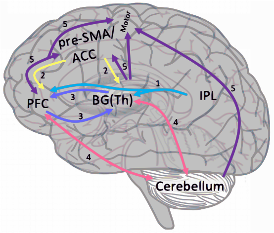 Language Control Model 2017