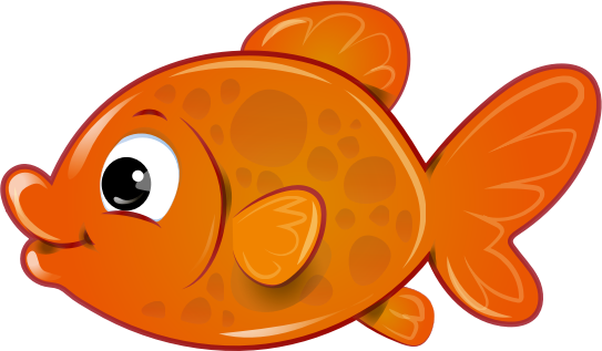 Goldfish