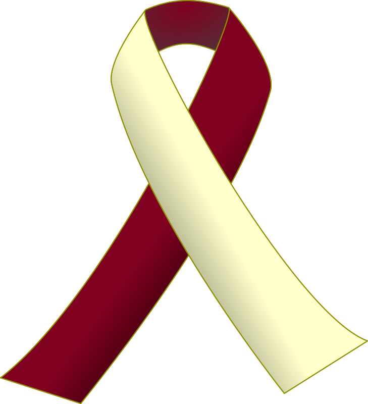 Burgundy and Ivory Ribbon