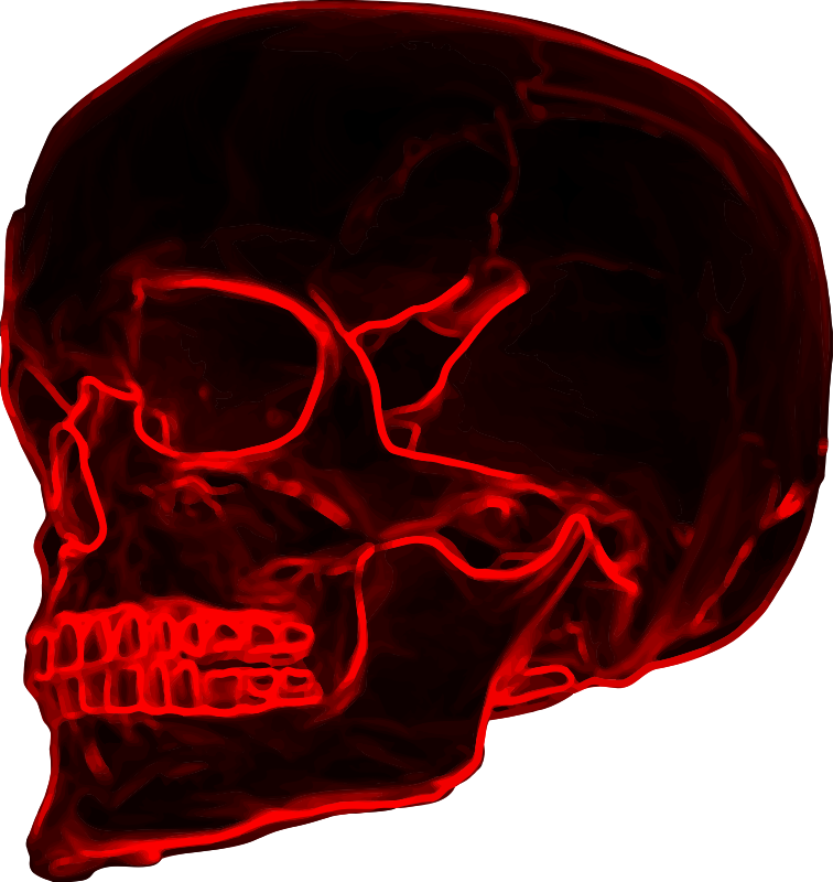 Skull 19