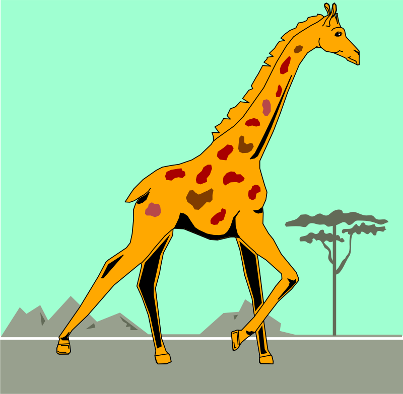 giraffe