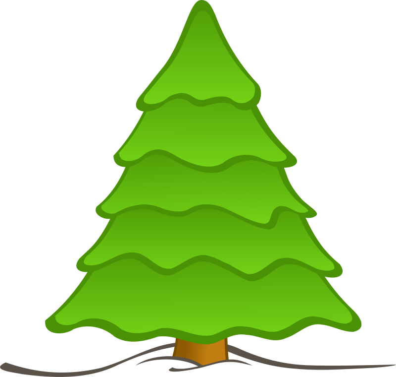 sapin-01