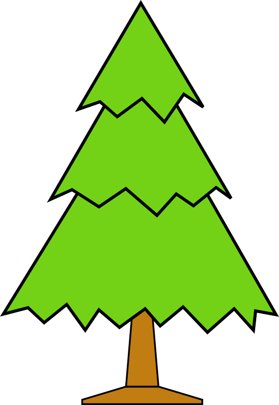 sapin-02