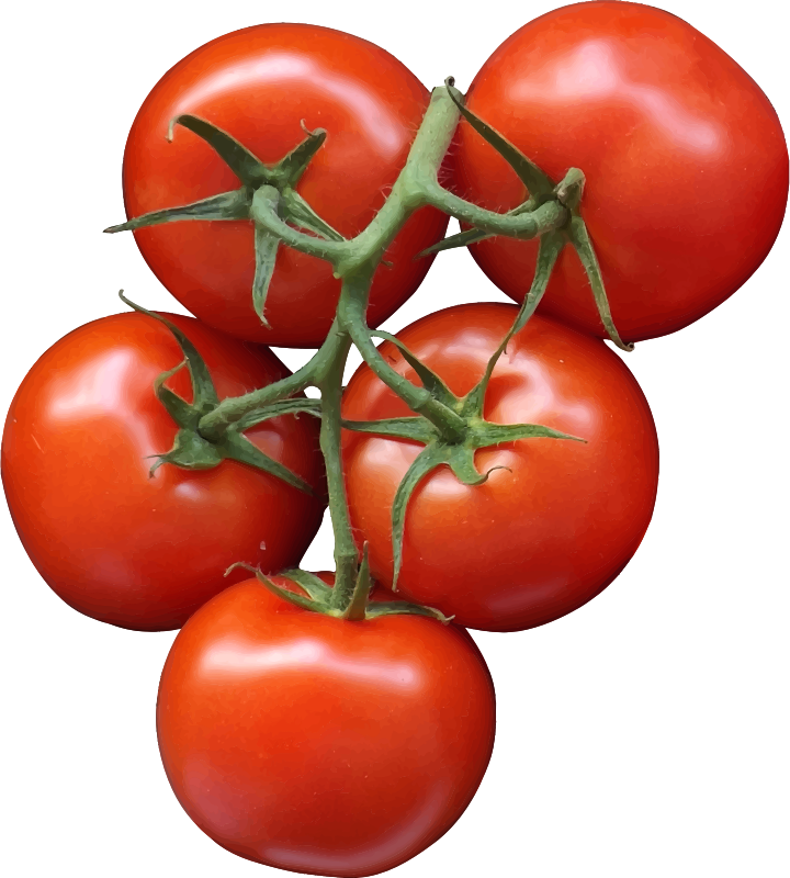 Tomatoes