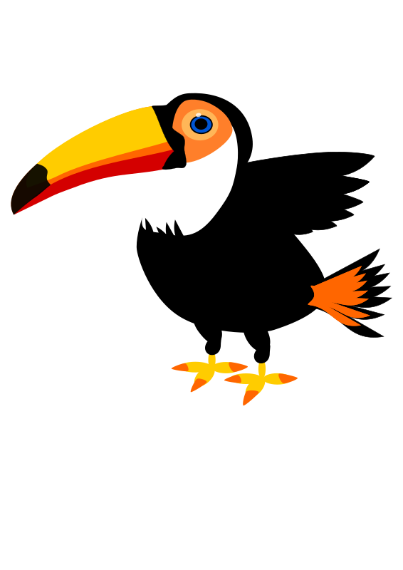 Toucan