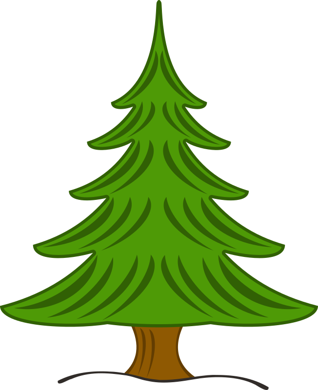 sapin-03