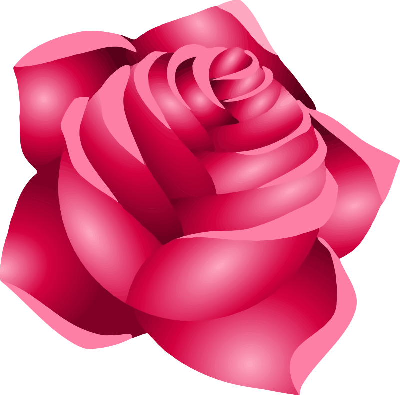 Rose 22 (red)