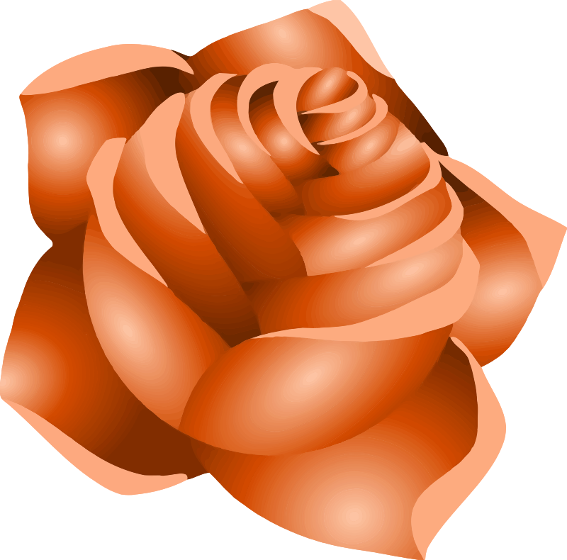 Rose 22 (peach)