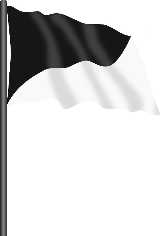 Motor racing flag 7 - black and white flag