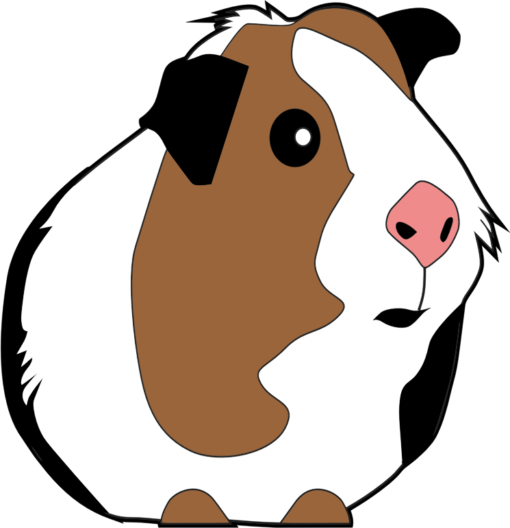 Guinea Pig Illustration