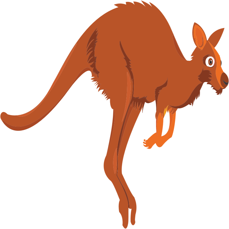 Cartoon Kangaroo