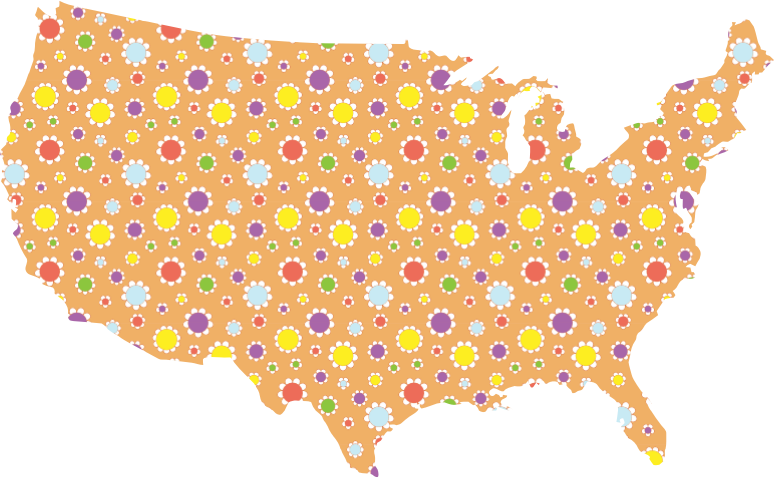 Cute Floral America