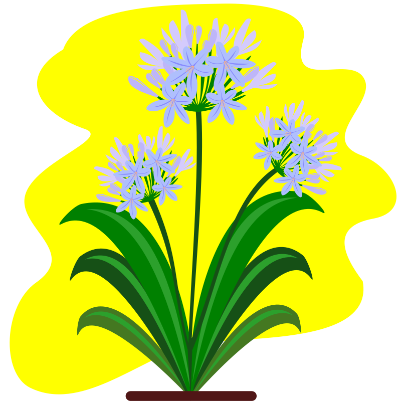 flower 33A