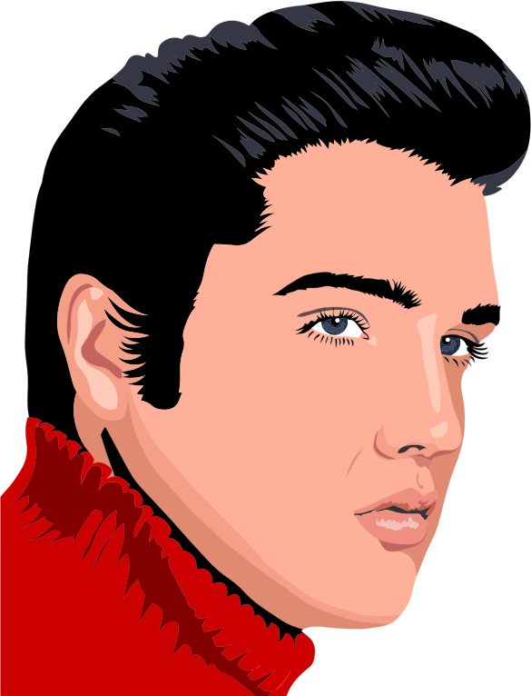 Elvis Presley By Heblo