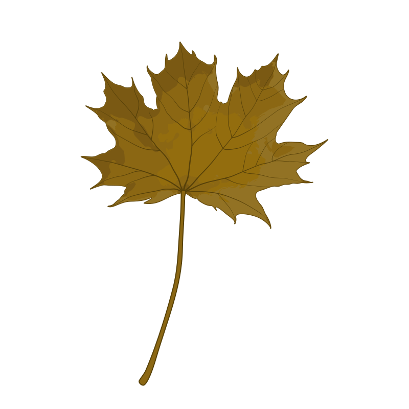 leaf