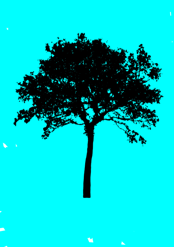 The tree