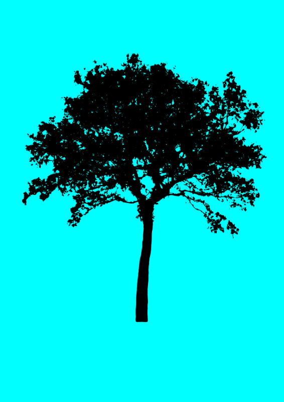 Tree silhouette