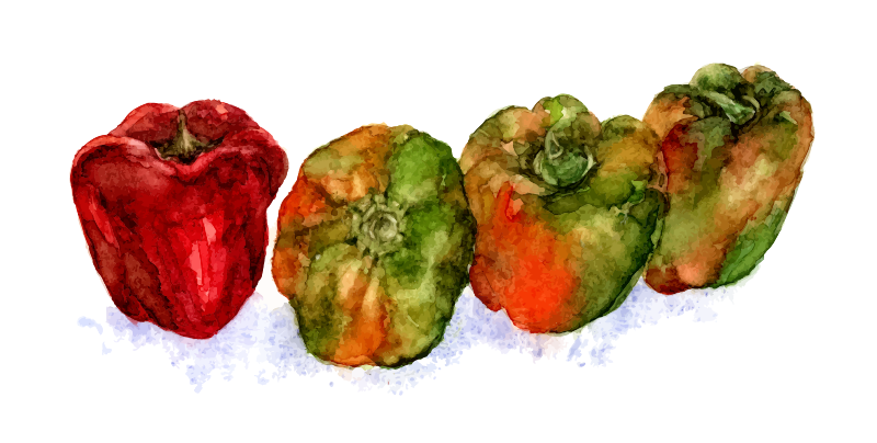 cristieleung's Capsicum vectorised