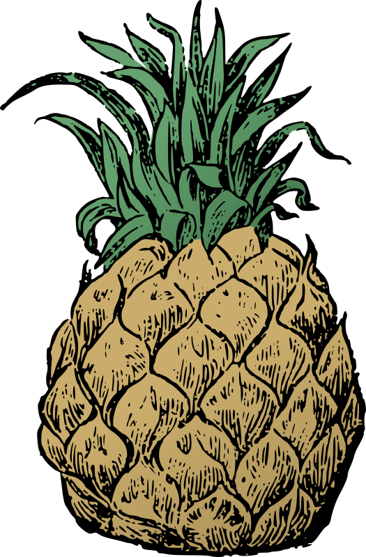 Basic Pineapple